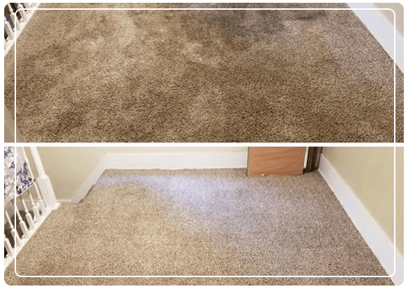  Carpet Cleaning The Gap