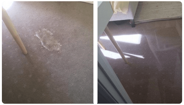 Carpet Odour Removal Services In Your Locality